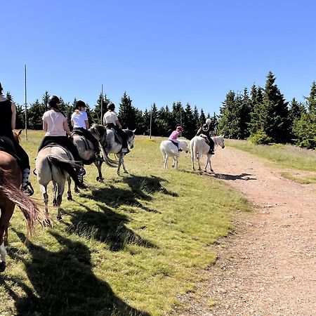 Rancho Panderoza Acomodação com café da manhã Duszniki Zdrój Exterior foto