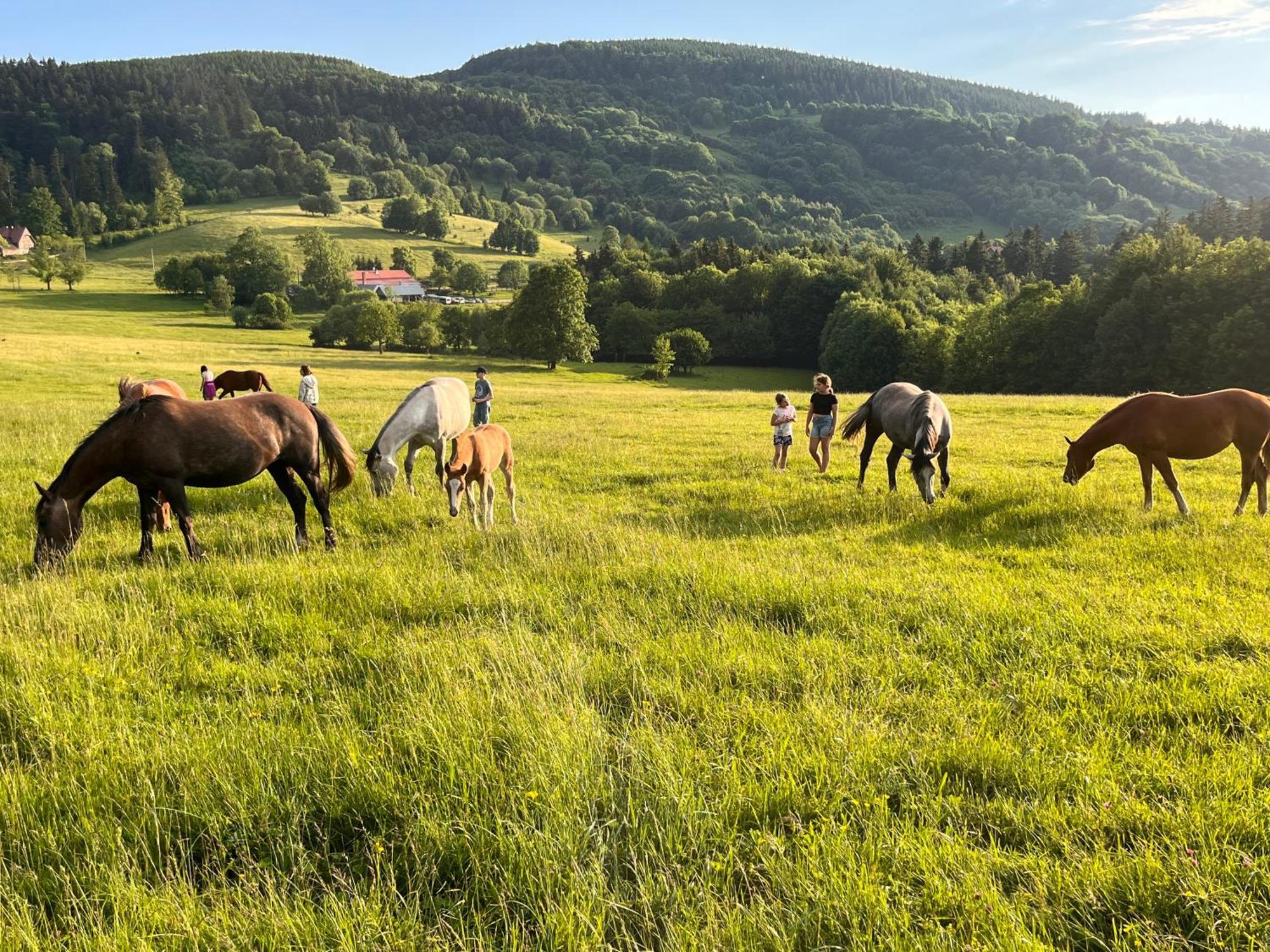 Rancho Panderoza Acomodação com café da manhã Duszniki Zdrój Exterior foto