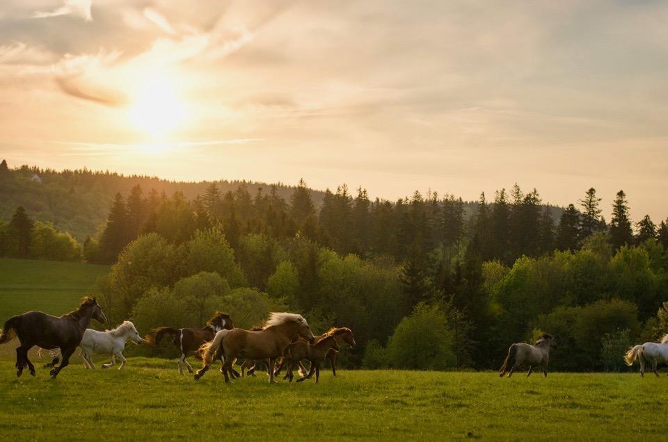 Rancho Panderoza Acomodação com café da manhã Duszniki Zdrój Exterior foto